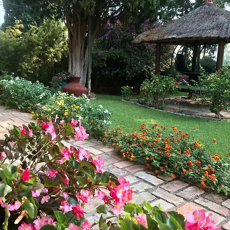 Bed & Breakfast Casa Paraiso Boutique 2*