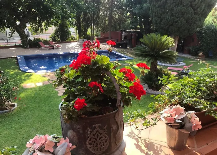 Couette-café Casa Paraíso Boutique Torremolinos