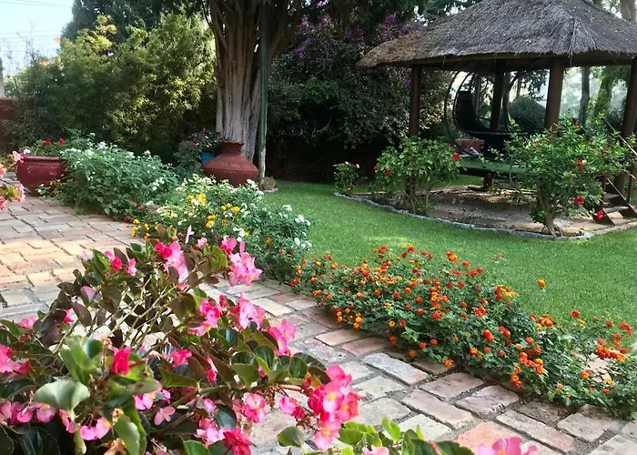 Couette-café Casa Paraíso Boutique 4*